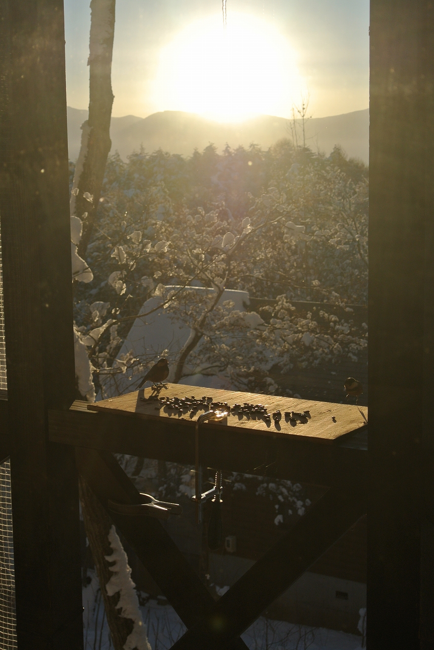 あけましておめでとうございます2019 あけましておめでとうございます2019